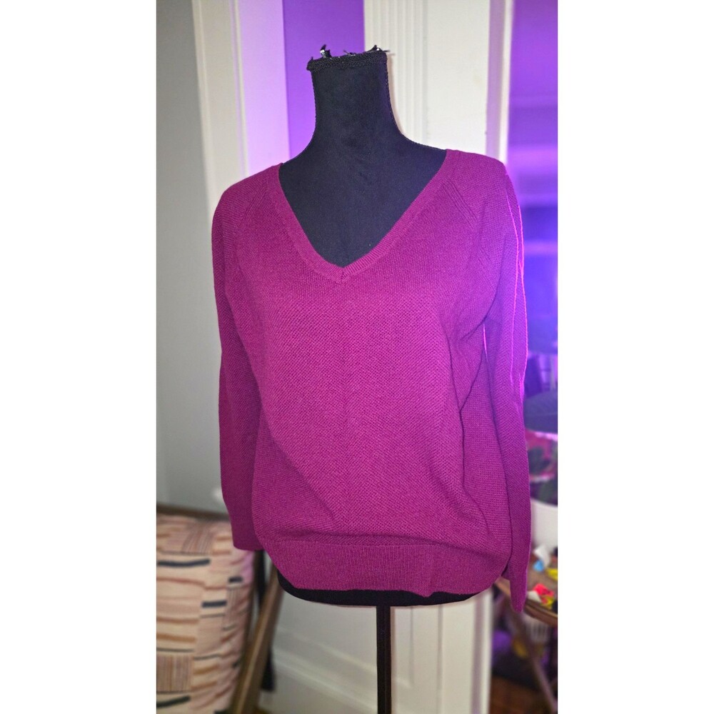 GAP Women’s Purple Solid Knit V-Neck Long Sleeve Pullover Sweater L